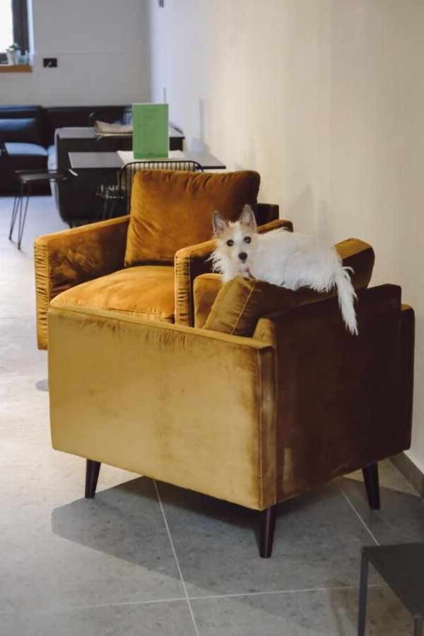 Central Lodge Hotel image 24